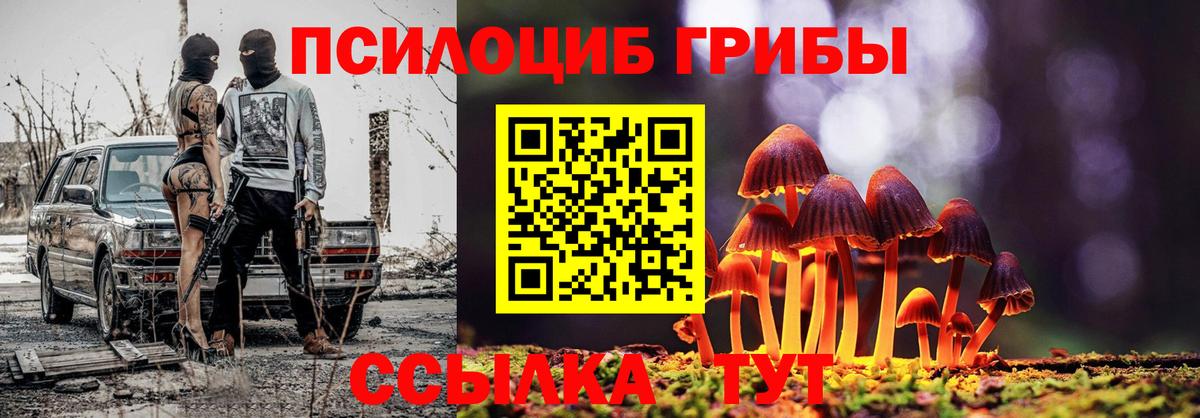 Псилоцибиновые грибы Psilocybe  Псилоцибиновые грибы Cubensis  Вход с VPN  Ахтубинск 