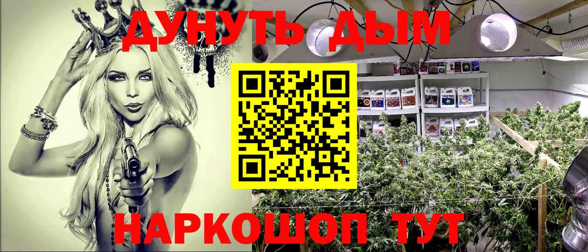 Шишки марихуана марихуана Ахтубинск